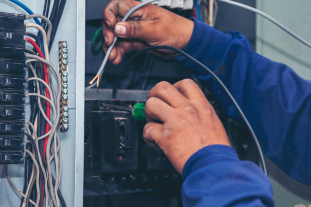 Best Licensed Electrician  in Little Chute, WI